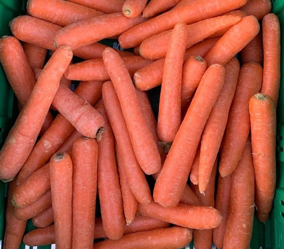 Carote